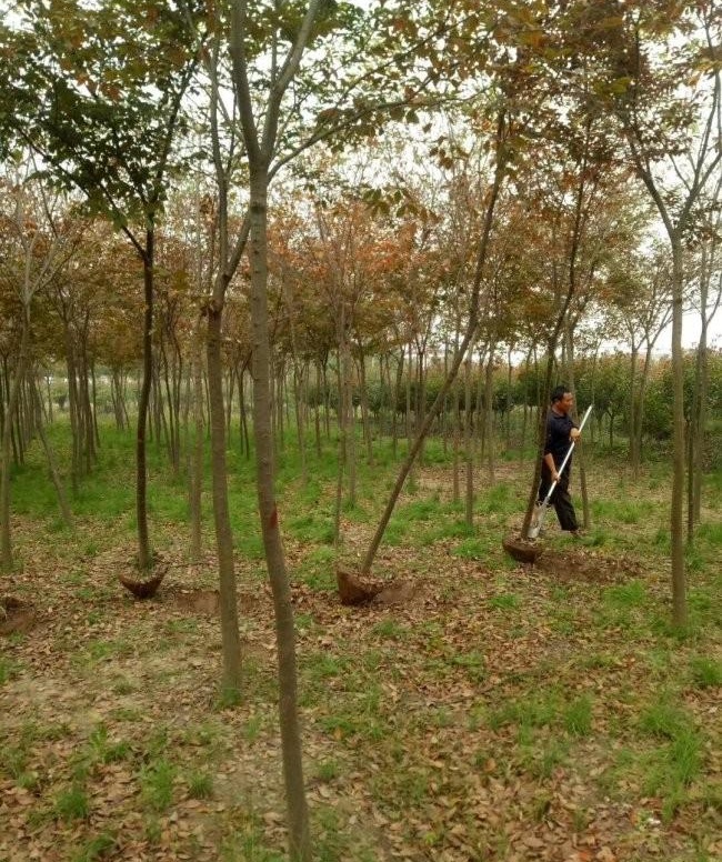 1627872587734835.jpg image.jpg