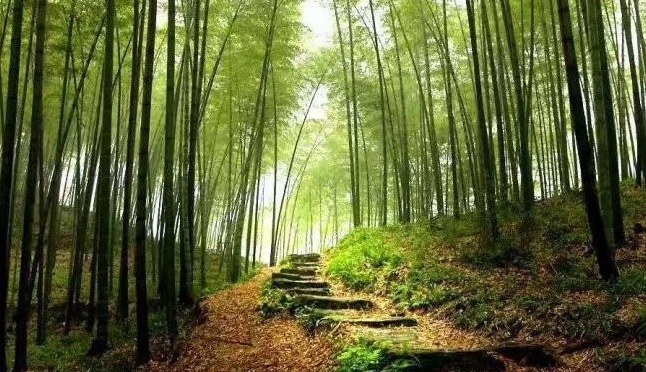 1627873539698672.jpg image.jpg