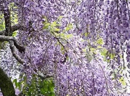 1627956646338131.jpg image.jpg