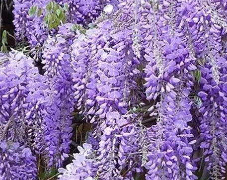 1627956656757939.jpg image.jpg