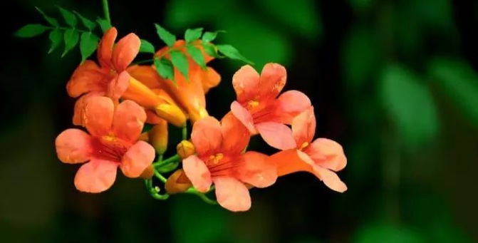 1627987372893848.jpg image.jpg