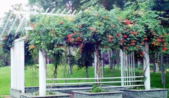 1627989534752175.jpg image.jpg