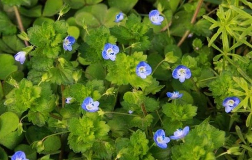 1627990384363585.jpg image.jpg