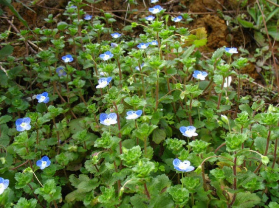 1627990409836527.jpg image.jpg