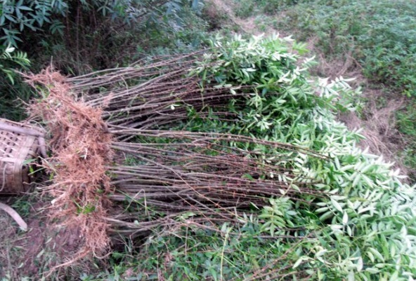 1627991015423149.jpg image.jpg