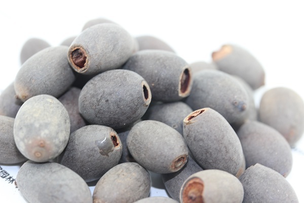 1627993002781882.jpg image.jpg