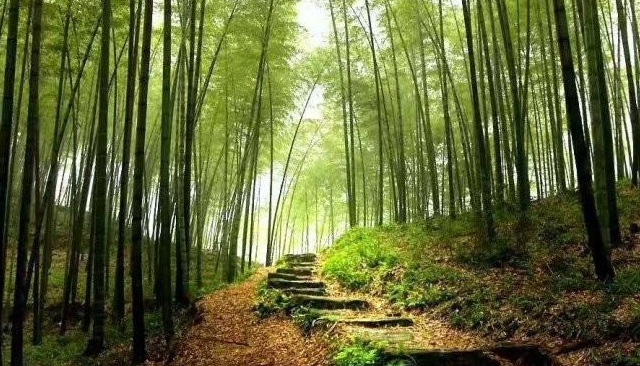 1627993194872350.jpg image.jpg