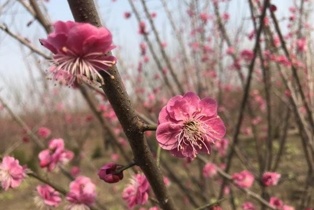 1628056442378892.jpg image.jpg