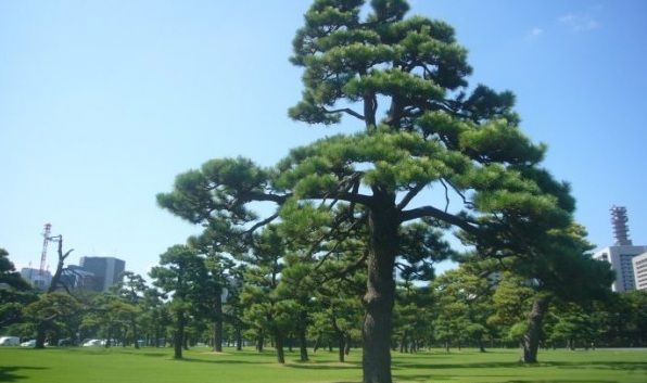 1628056775129845.jpg image.jpg