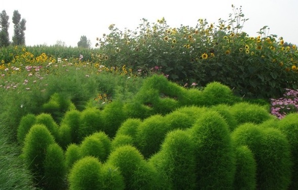 1628057195571409.jpg image.jpg