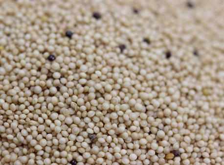 1628083912522659.jpg image.jpg