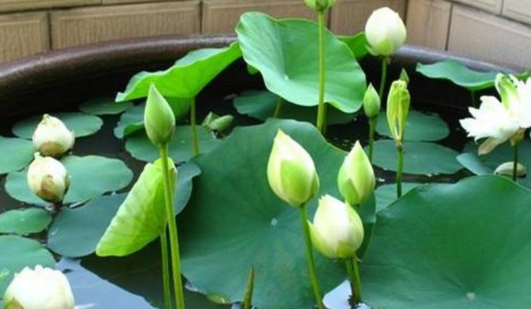 1628142693177790.jpg 萬(wàn)聯(lián)1.jpg