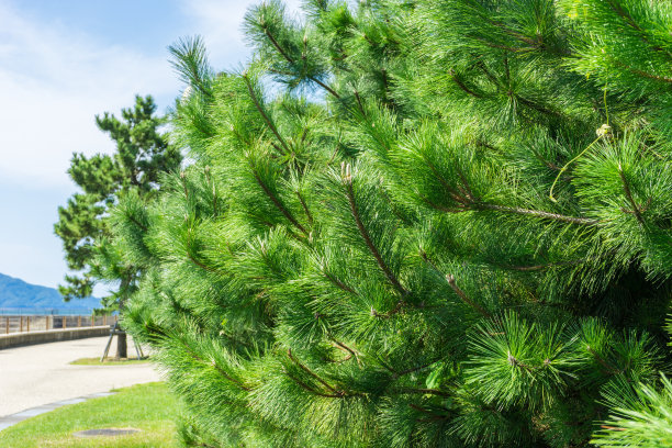 1628161799169422.jpg 1628161799169422.jpg