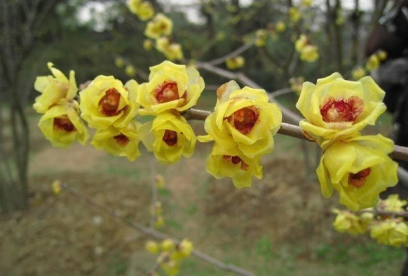 1628217193363173.jpg image.jpg