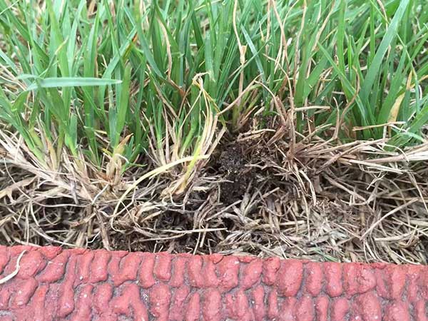 1628222312550674.jpg image.jpg