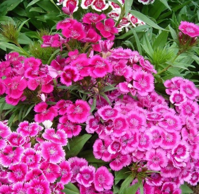 1628222816547939.jpg image.jpg