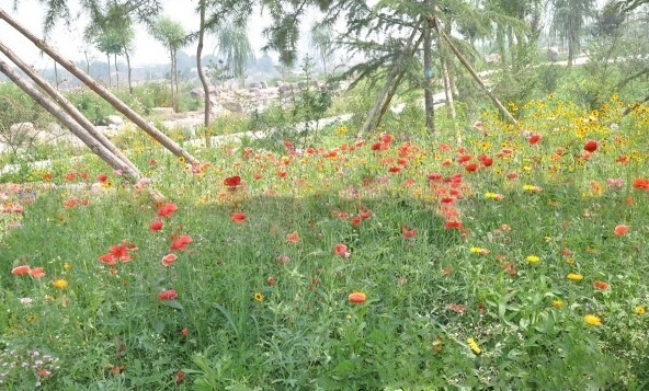 1628223057735160.jpg image.jpg