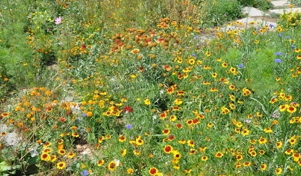 1628223065899510.jpg image.jpg