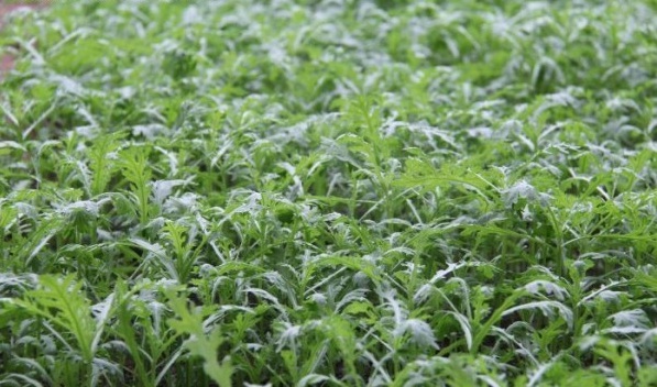 1628223453213564.jpg image.jpg