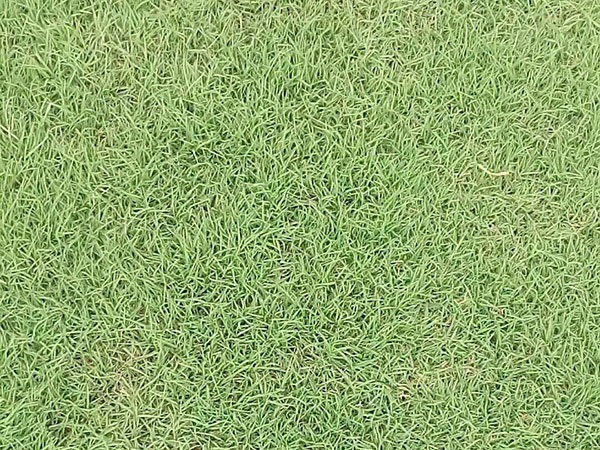 1628225126530714.jpg image.jpg