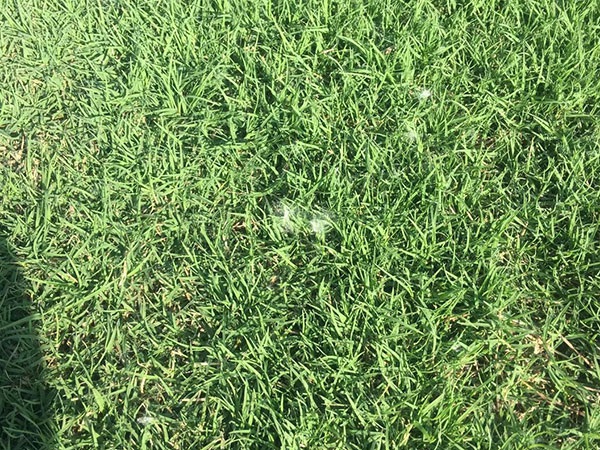 1628225126774286.jpg image.jpg