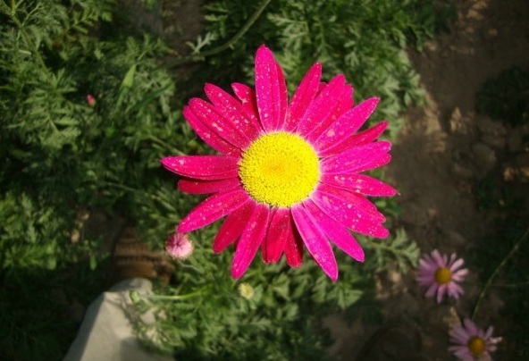 1628226127444155.jpg image.jpg