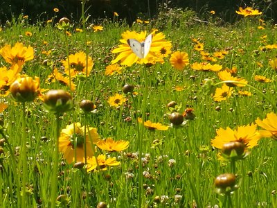 1628248272333502.jpg 1628248272333502.jpg