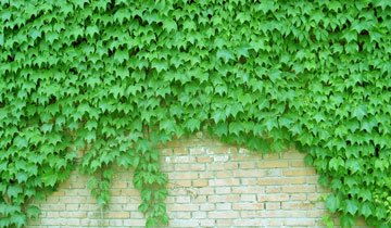 1628248772251112.jpg 1628248772251112.jpg