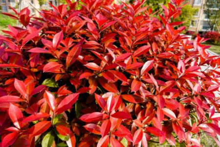 1628249731747965.jpg 1628249731747965.jpg