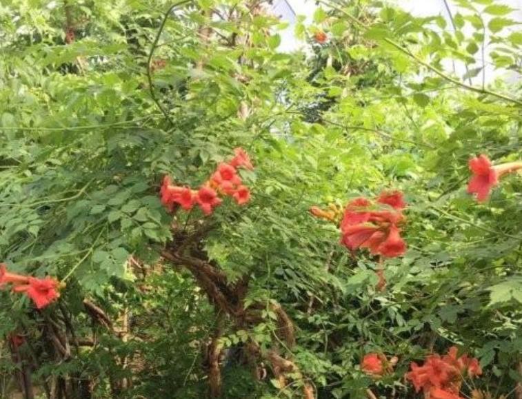 1628253727497498.jpg 360截圖20210806204053036.jpg