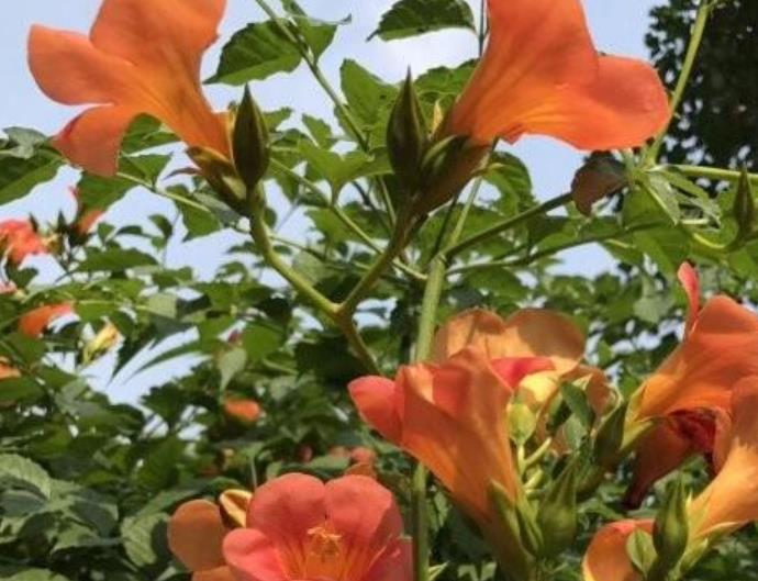 1628254162863759.jpg 360截圖20210806204037721.jpg