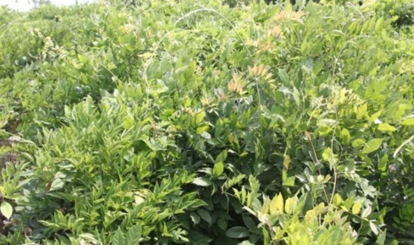 1628254476427694.jpg 360截圖20210806205352655.jpg