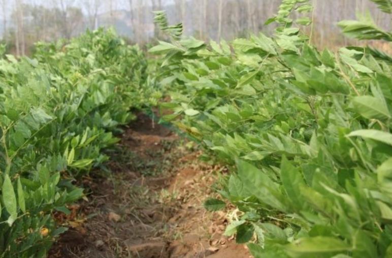 1628254632235893.jpg 360截圖20210806205408275.jpg