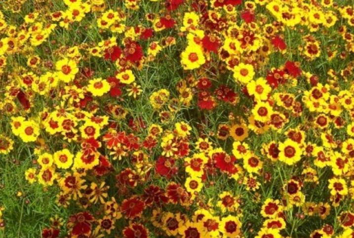 1628267025300392.jpg 360截圖20210807002331024.jpg