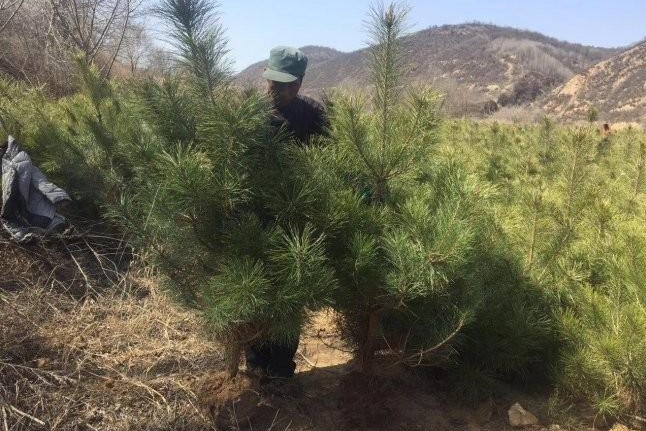 1628308172923768.jpg image.jpg