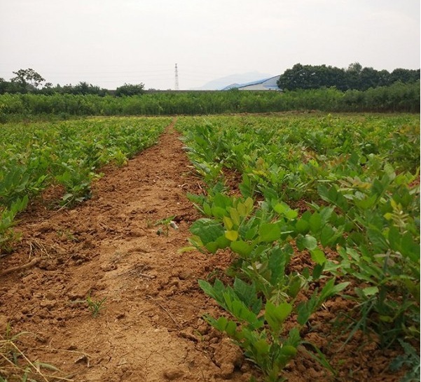 1628345975506775.jpg 5I9Z2[K7`D_1~`C57H`4IY0.jpg