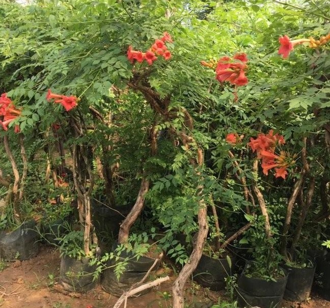 1628346077902513.jpg KBANE$U4}P9{03WG3D[NT@J.jpg