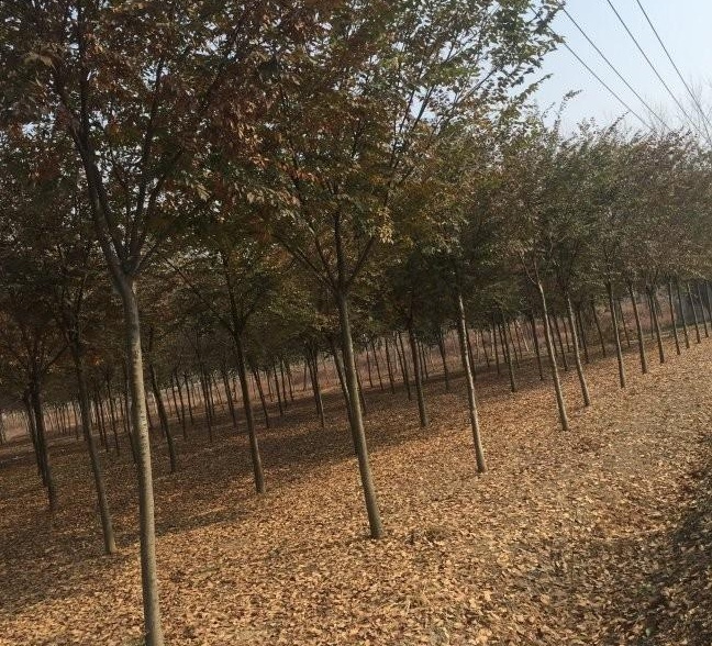 1628346617255874.jpg QQ)D8Y}O6CY5RE)MI[R5QJI.jpg