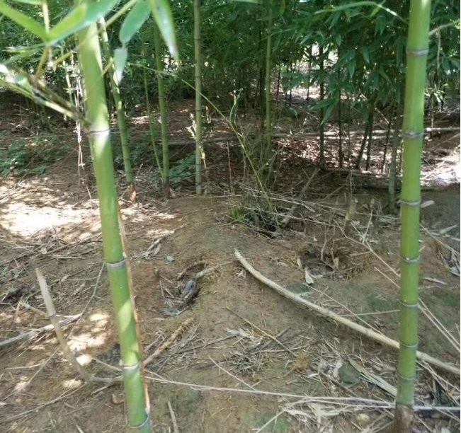 1628347017736133.jpg ~EI@KM4L77DYBT_NV~`093F.jpg