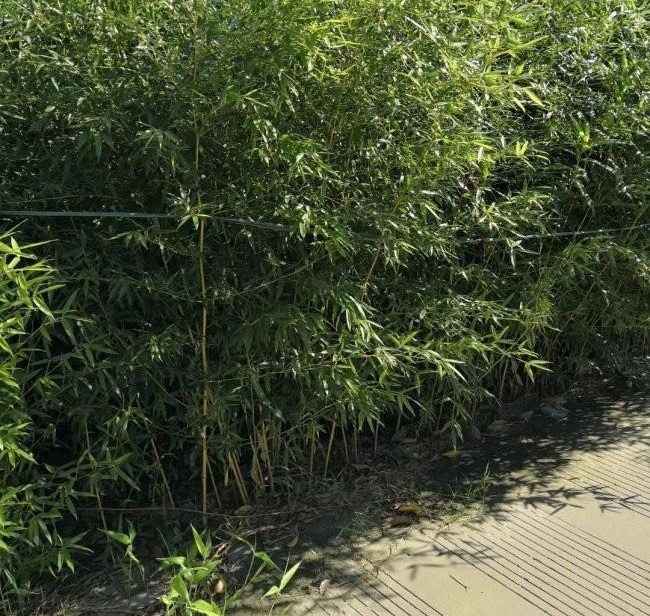 1628347063986769.jpg 6)G[C`OCE}(%NX1J8~7D6XB.jpg