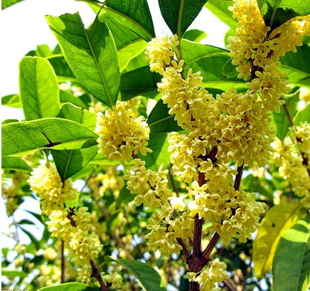 1628406878728995.jpg 1628406878728995.jpg