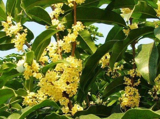 1628406912275521.jpg 1628406912275521.jpg