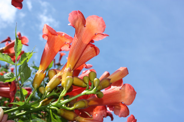 1628407295352049.jpg beae566419f36661d50fc1fc4dd84a85_t0107b5047e56779e9a.jpg