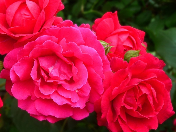 1628408315544128.jpg 1628408315544128.jpg