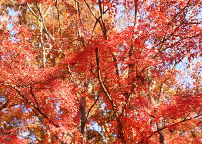 1628408458806952.jpg 1628408458806952.jpg