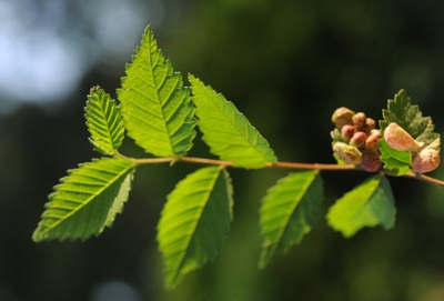 1628409020333463.jpg 1628409020333463.jpg