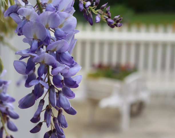 1628410276149088.jpg 7ec59054f238dcaa03afe5f39e843836_t01fbe79a919d60d892.jpg