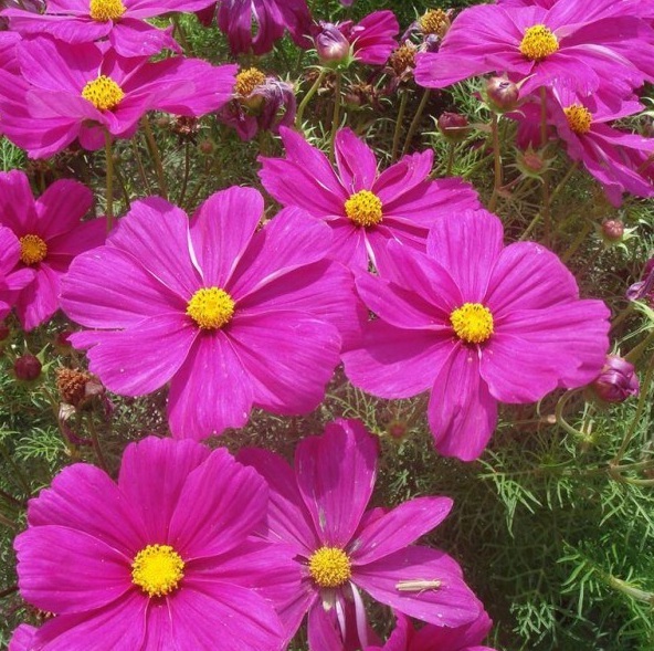 1628423386752480.jpg 1628423378(1).jpg