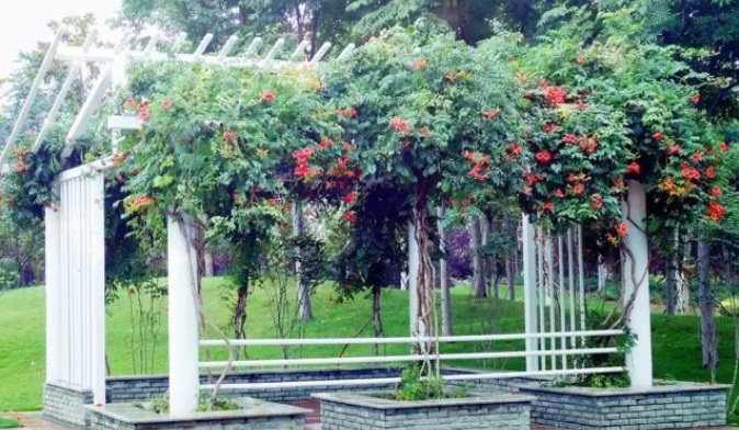 1628424603503202.jpg 1628424595.jpg