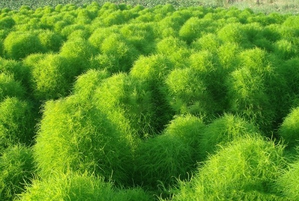 1628426354189691.jpg 1628426328(1).jpg